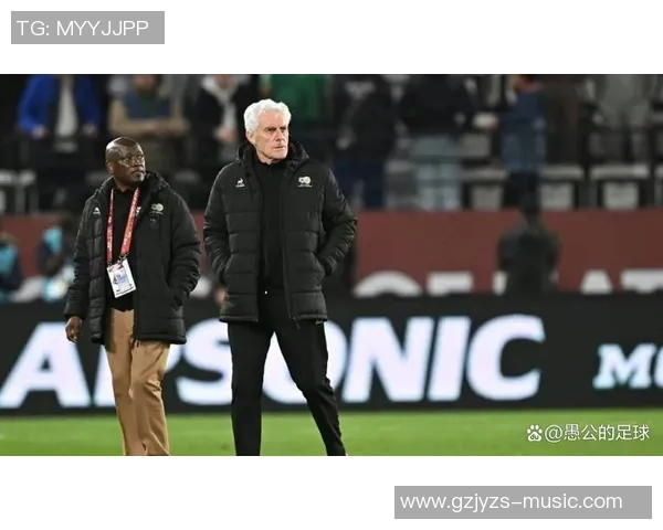 南非主帅布罗斯讲话涉嫌种族主义,南非足协表示支持教练